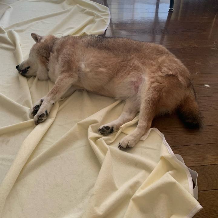 Ef5b2d19 5eb4 4578 86c9 f6856fb1c7a9 1658647183139