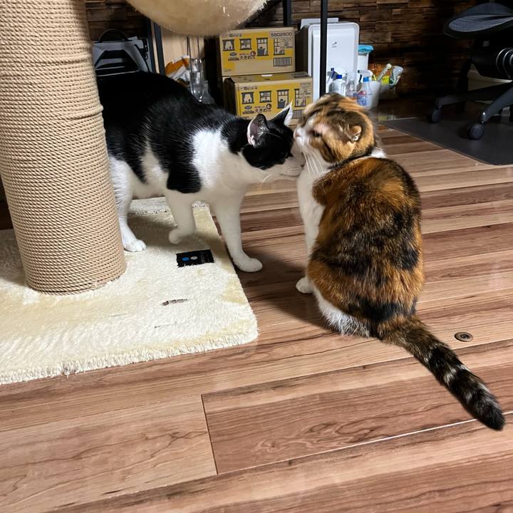 Ef5b2e29 0204 4cfb 9f31 58b07dfe15a6 1766141850405