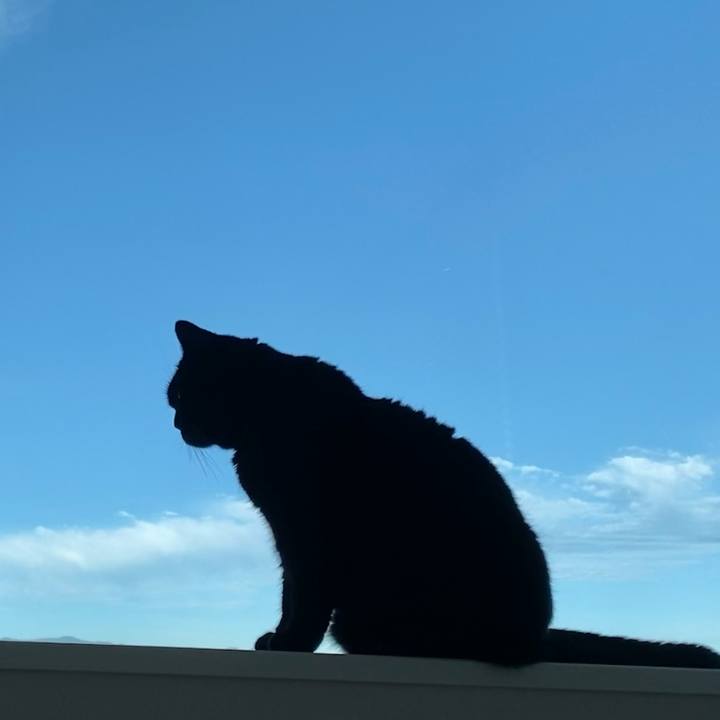 Ef5b5439 ee41 4bc1 92e3 c25d59653bc0 1661725304793