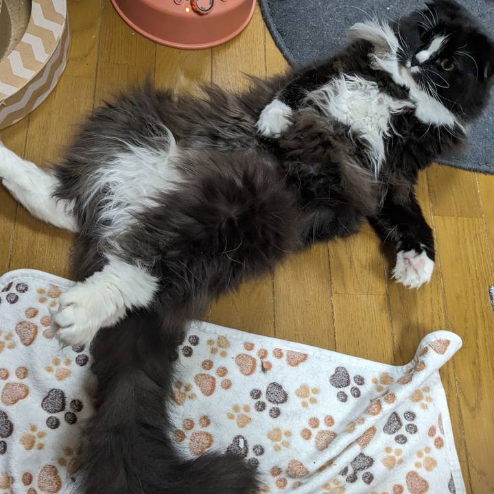 Ef5b5527 97b7 4998 aa34 b6cebd6d0741 1708907632065