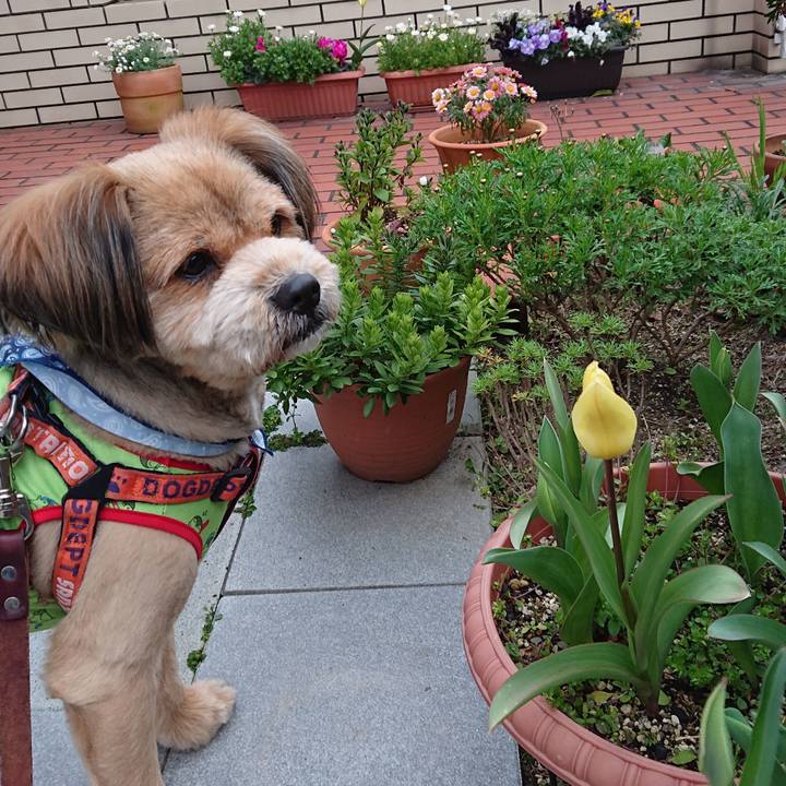 Ef5b994c 8ab6 426c a25b 47173e12f762 1552899878099