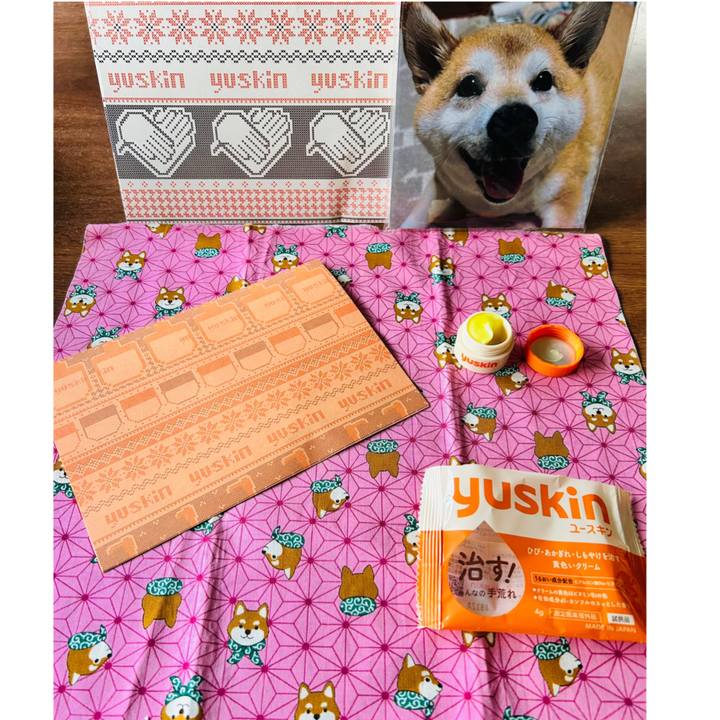 Ef5bdb80 bd98 4767 9749 407894636196 1731910519939