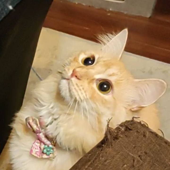 Ef5bff96 a072 41d5 9a75 0a85802c3faa 1665665254381