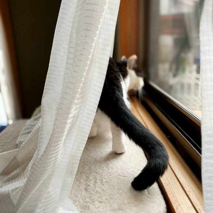 Ef5c0221 05db 4f27 a2da c66bcb31eaf5 1595988048633