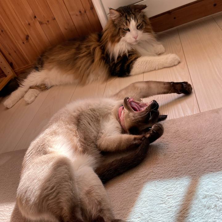 Ef5c03df 8046 476c 83f3 2ac1cc2460df 1716101592982