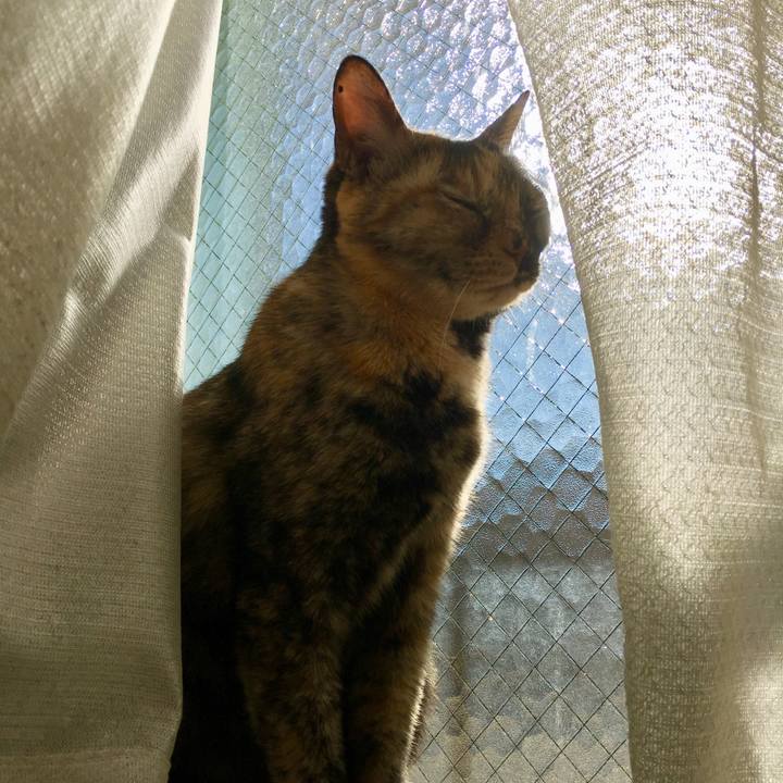 Ef5c73ae 16a3 4d80 bcd7 f2c14799e4cf 1519831397919