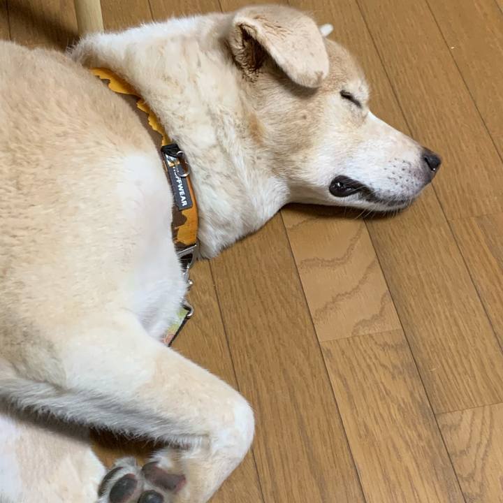 Ef5c7c9b b731 4c80 9cbb da405d46e51a 1597760794784