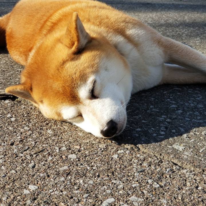 Ef5ce71b eee1 4e5c bbeb b314b733a827 1573191543446