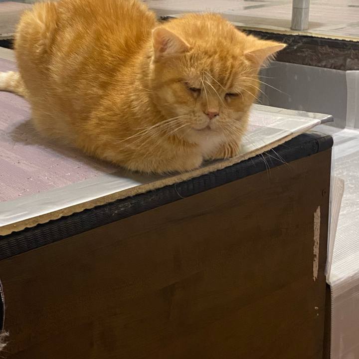 Ef5cf829 0117 4eba 85f6 97470a34e2c2 1667595636675