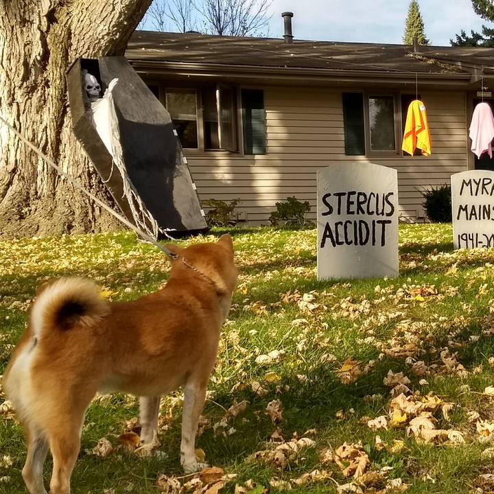 Ef5d1d81 7b85 41cf b3d8 4cd4a34f18f0 1508636938545