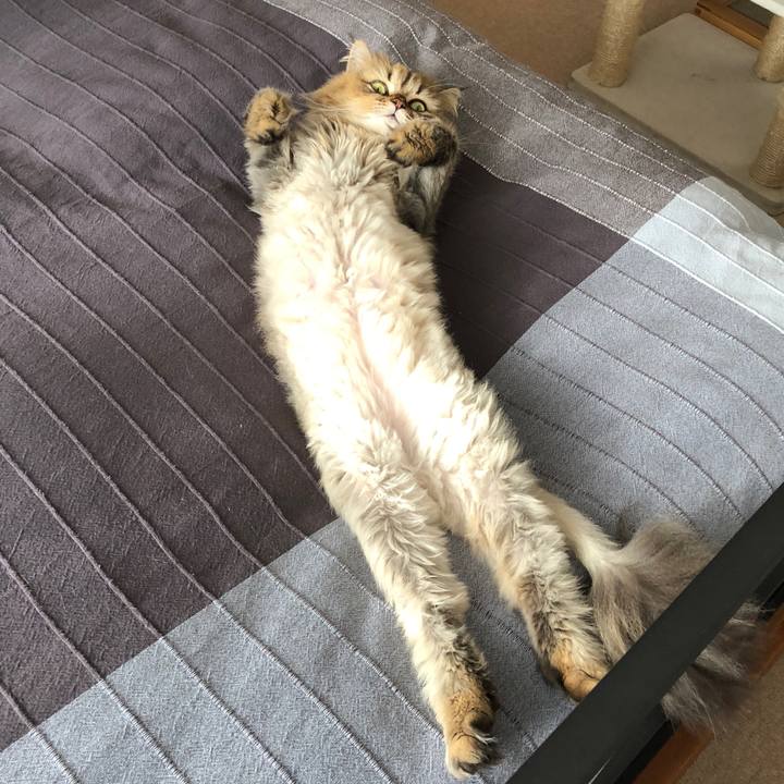 Ef5d5cd0 3b26 4e93 bf88 73a72765aca9 1527320518630