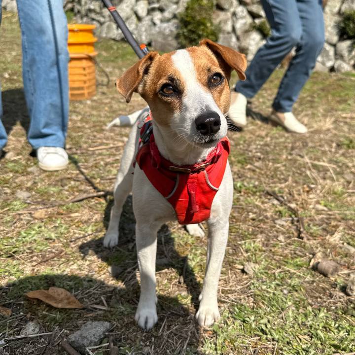 Ef5d9604 5e18 4d18 b039 8fbdc5b8cc6c 1771071557571