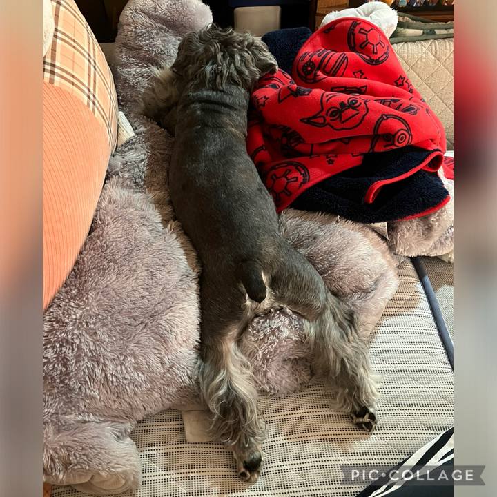 Ef5d9db9 a146 42bd bde6 4e482f7f4859 1728184291586