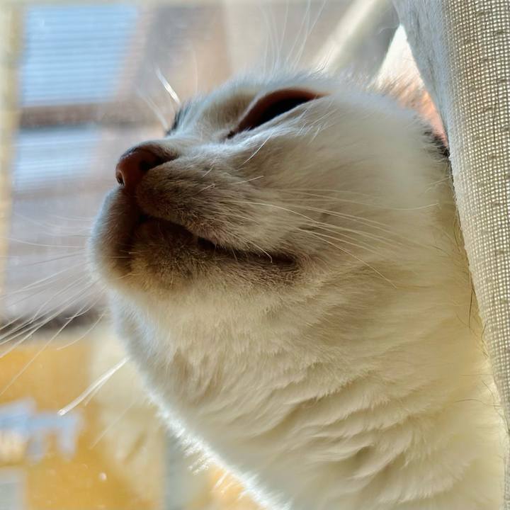 Ef5da561 bf7f 471d 986c 7d7aa3f12a55 1695693858948