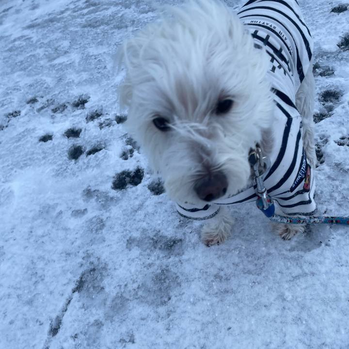 Ef5da93c cbea 44b4 851f 5049f6c8bc84 1734856922047