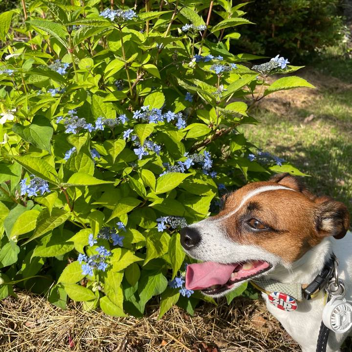 Ef5dc013 4fb4 4263 b065 aa385c7cfe26 1655981451260