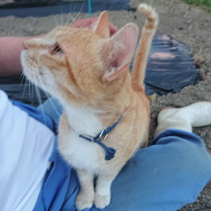 Ef5de586 41da 454f b55b a6f6d96cdf79 1559556154301