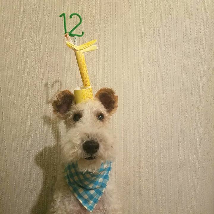 Ef5de5b5 3837 40f4 8e8a f018040968c9 1564274038463