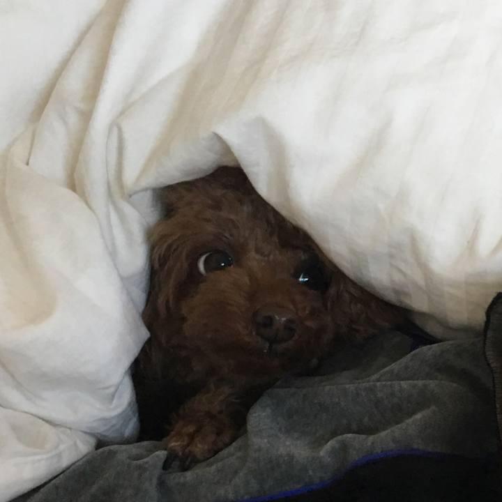 Ef5e058d 423d 4844 8d9b aa8f62af64c7 1546643616610