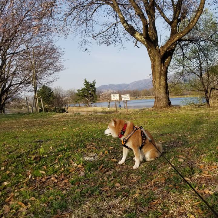 Ef5e0add e33e 4589 80e7 f7b3a6daa2e9 1713081414861