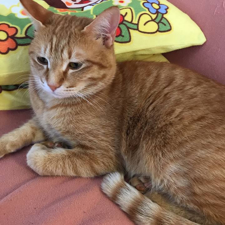 Ef5e1083 695f 4f0f 980b 645c33429244 1517457565724