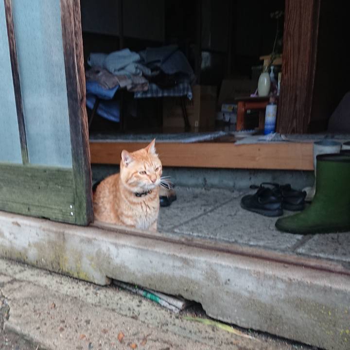 Ef5e1207 3b67 4eac 8c97 695c572b2a16 1658264432989