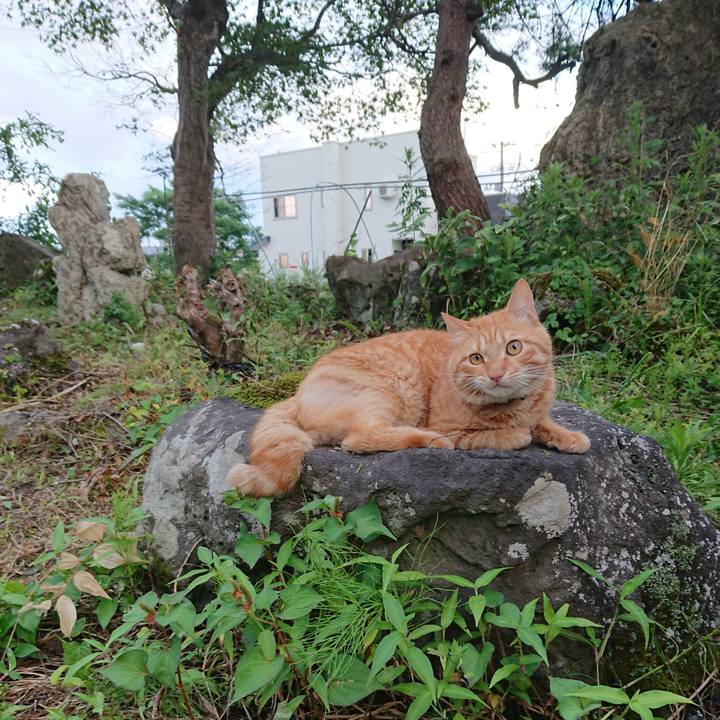 Ef5e4a0c 0bbd 4829 ada3 2351f96744c1 1657705766804