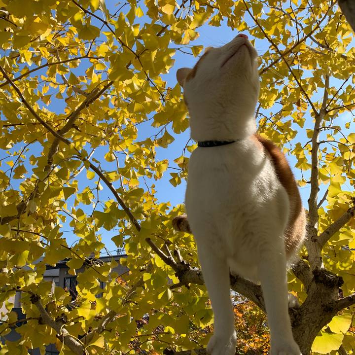 Ef5e72be a672 4028 94ff 2f8e42bced9c 1573616406675