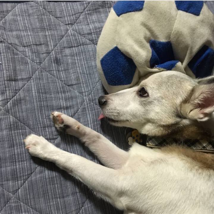 Ef5e772d b6bb 411b b2a4 4b7dd5344473 1759619150062