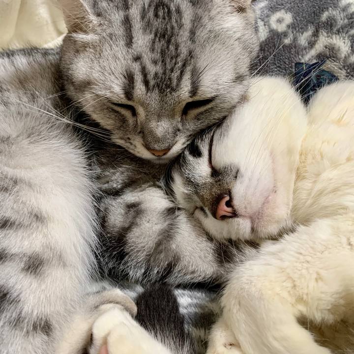 Ef5ea424 0a01 42a2 9068 88a3605750b1 1584838274055