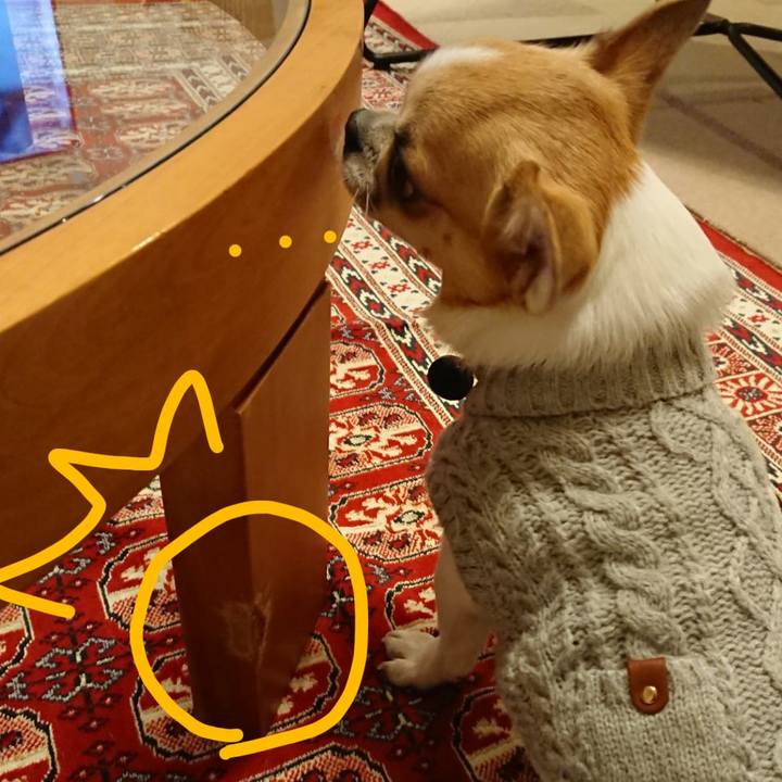 Ef5ea46b 84cb 4ac3 8a26 e05c1b351f8c 1548579229440