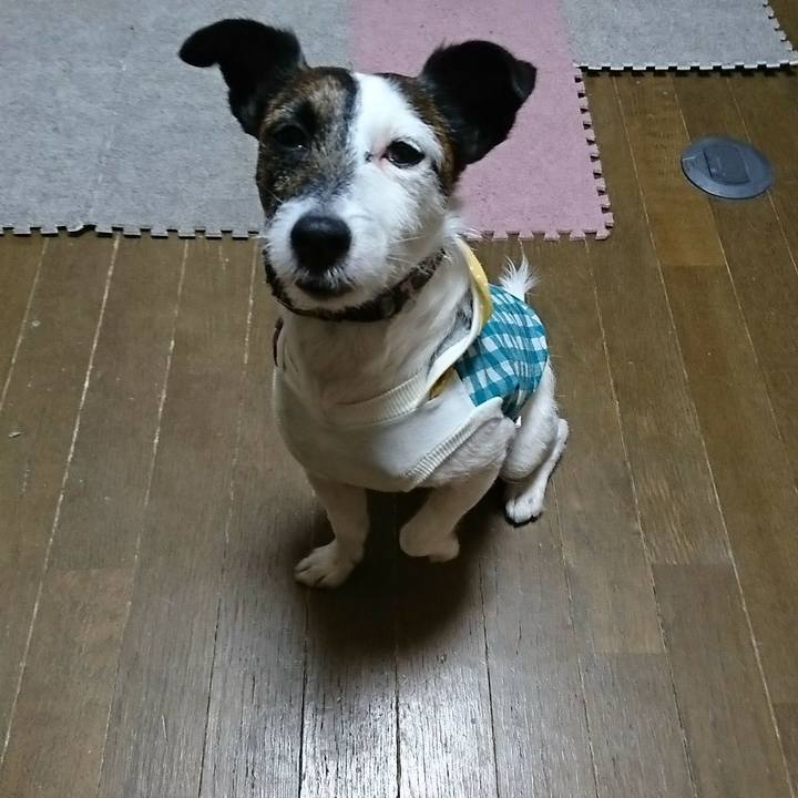 Ef5ecdb5 36b5 4dc5 8db5 378156e7f99c 1523619958610