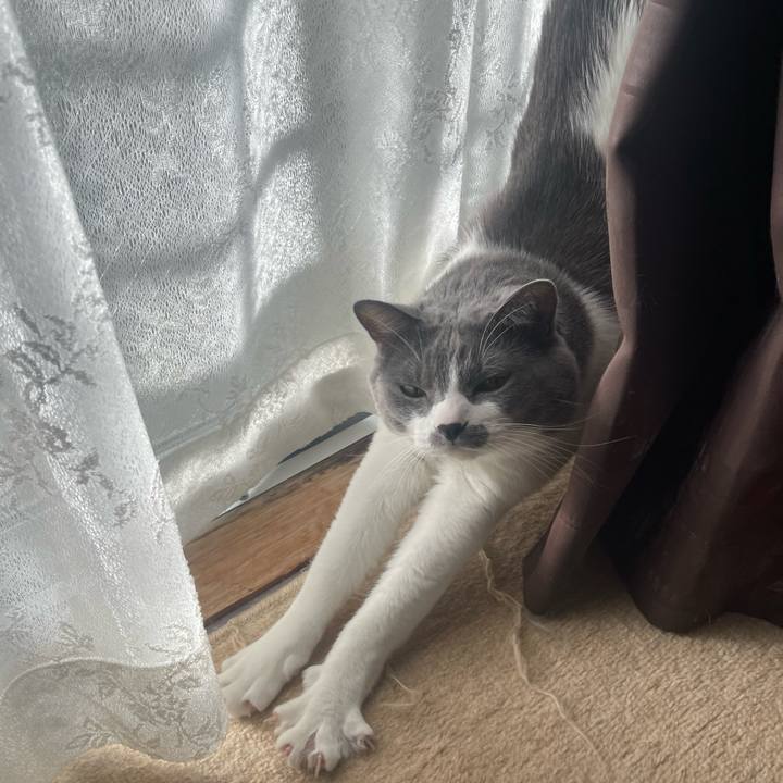 Ef5eee5f 8c75 4776 8788 4f19de85e912 1668469380037