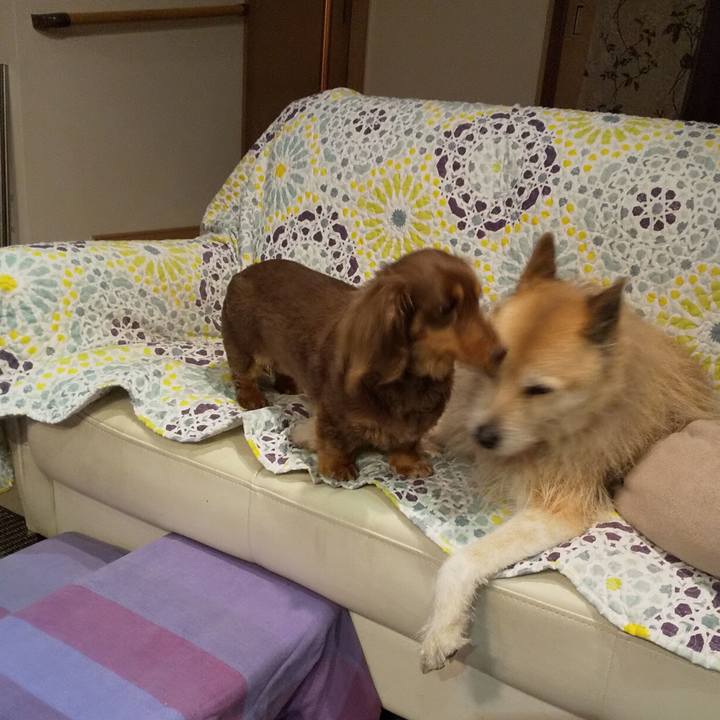 Ef5efc8e 52f7 480c ab6e 3af60fc6dcd6 1554028118690