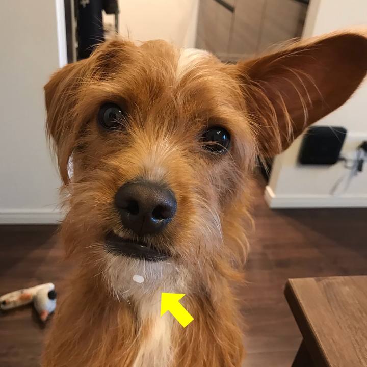 Ef5f0488 381e 4ebb 9f2f 74a4885980da 1539904878211