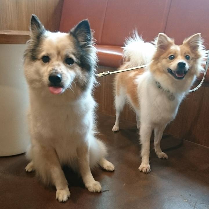 Ef5f153e 0a65 42ed a612 5f3296ddd030 1535427136833