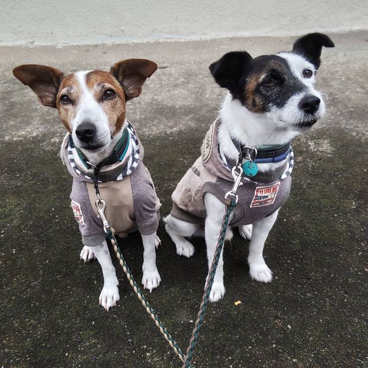 Ef5f1d5f ee65 485f ae49 50d445acd501 1759618075703