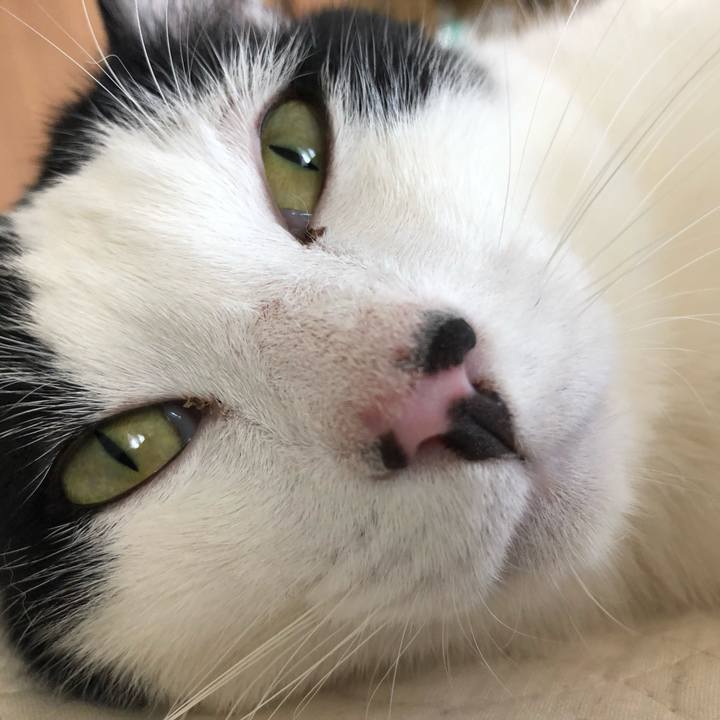 Ef5f20cf 0062 41f4 8279 aa5986093246 1558225981601