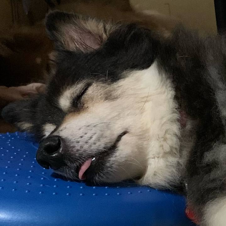 Ef5f226b 6160 4acb 90c2 c74ea183acbe 1726973739767