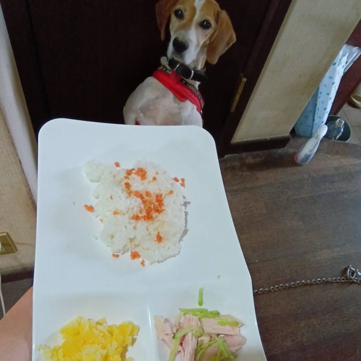 Ef5f54c8 37fa 4c09 94be bb6b8b0b1abd 1723190179619