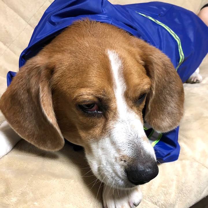 Ef5f8548 ad5b 431a b930 4370c0f95c18 1680839277697