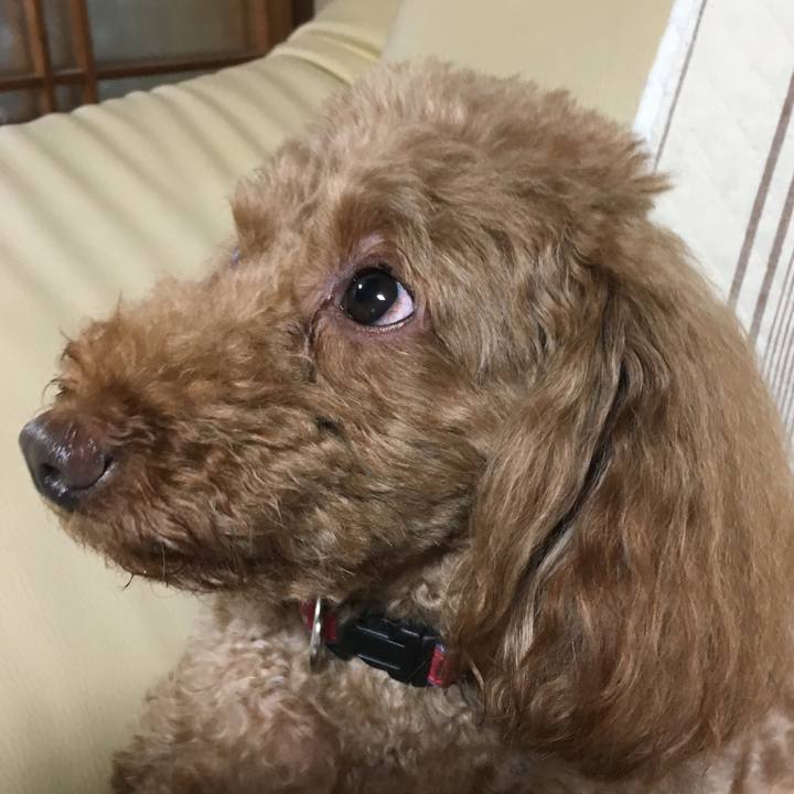 Ef5f9b9f 4bbb 4eed 9974 2b979c3d37de 1534304520983