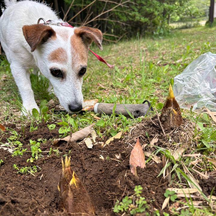 Ef5fe123 3c02 4591 95c3 27f7f6c2ba5d 1776168964196