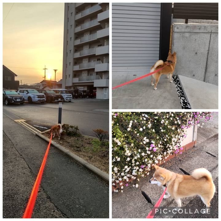 Ef5ff799 aafd 46c3 92a7 402acff62955 1767050360267