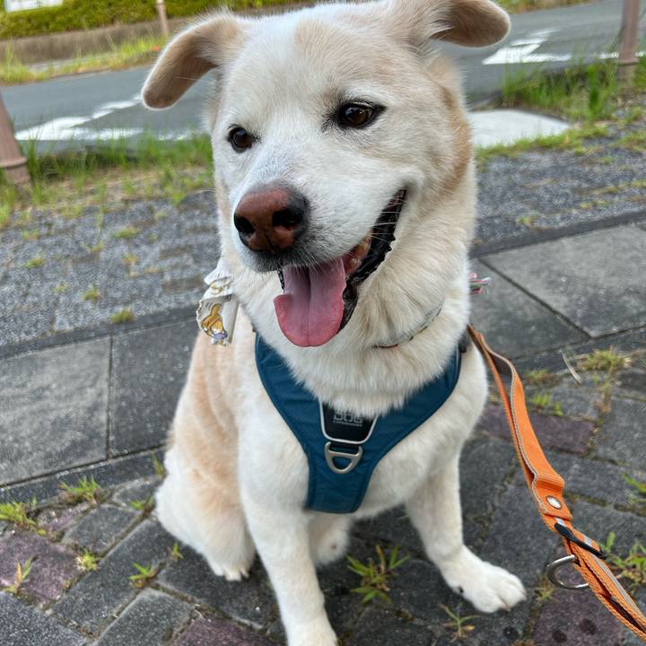 Ef603853 ebce 4843 9655 d52d7490ef2e 1721774925338