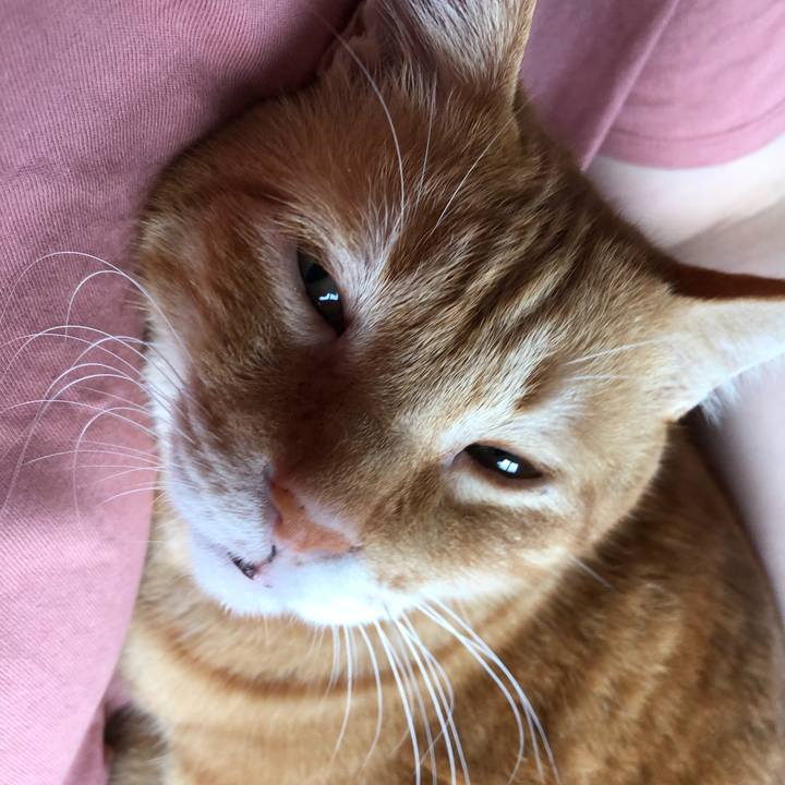 Ef60652b b43b 43ed 9461 9603e901db97 1626208480932