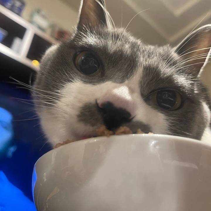 Ef606a11 63aa 443d b1cc 261d6a9b25a9 1738757994154