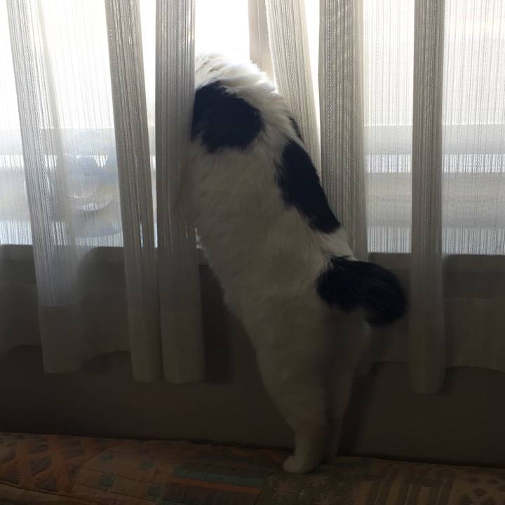 Ef607593 844e 4e57 a32c 19db48d1c202 1517441993378