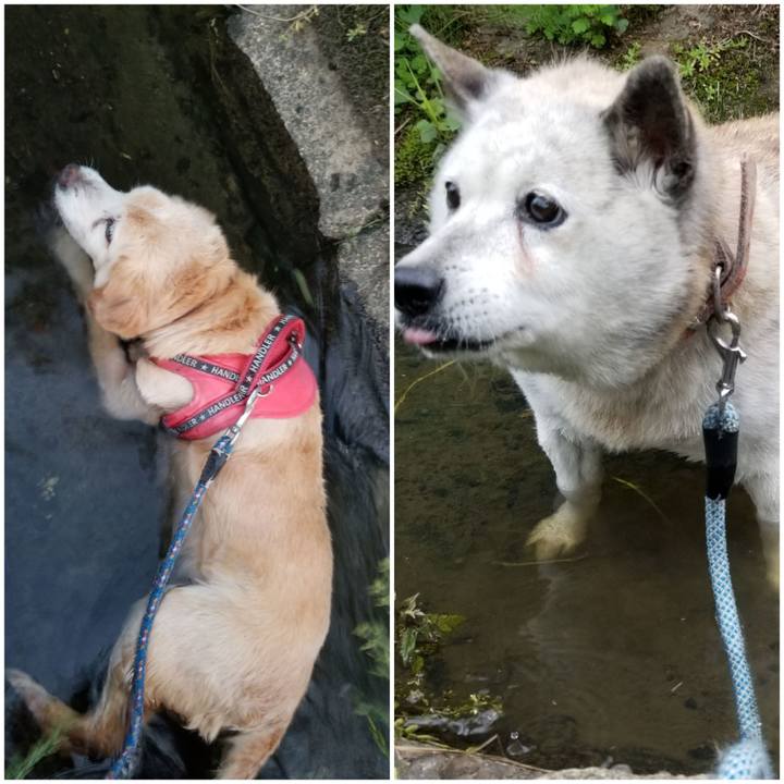 Ef60dfb4 a5b9 44d3 ab1a 2ed08e9438ef 1752905349937