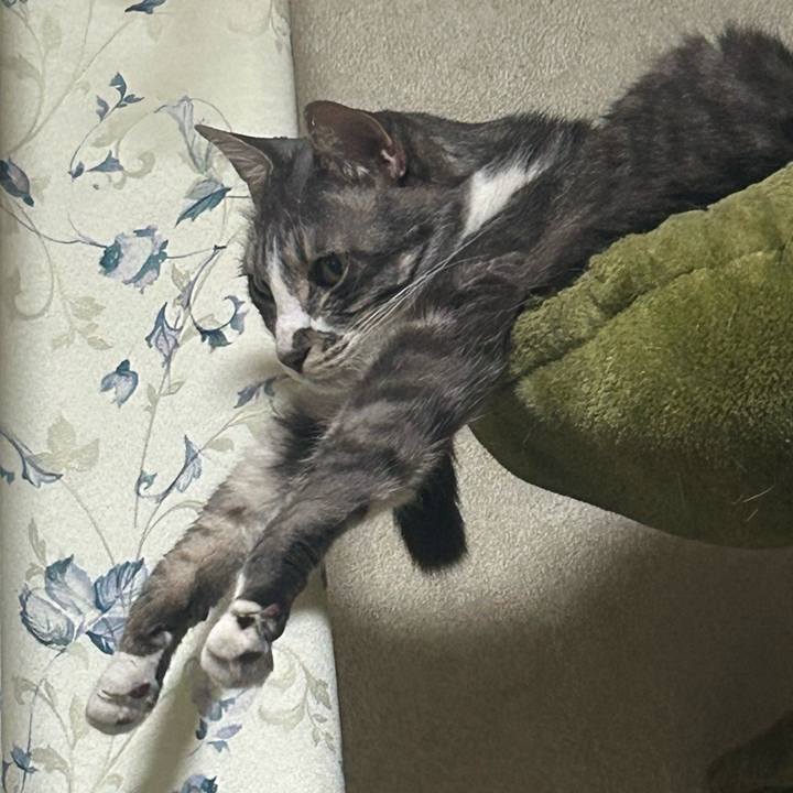 Ef610f49 86d9 484a 811f 3088c6b4ff60 1776609522841